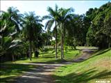 Jardín Botánico - SAN JUAN